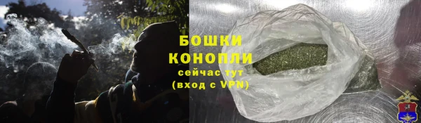 эйфоретик Белокуриха
