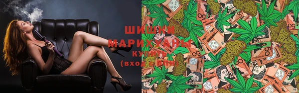 мдпв Осинники