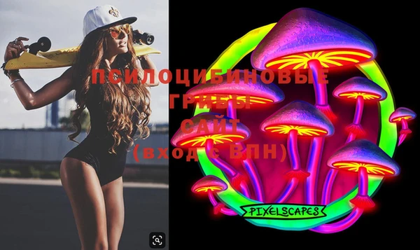 эйфоретик Белокуриха